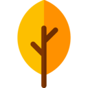 nature,botanical,holidays,leaf,leaves,garden,autumn,fall