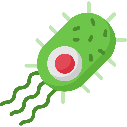 Bacteria