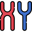 medical,education,science,biology,scientific,chromosome,sciences,chromosomes