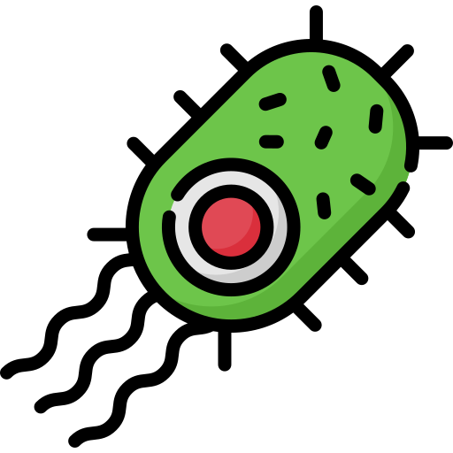 Bacteria
