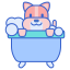 Favicon