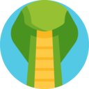 animals,wildlife,pet,wild life,animal kingdom,zoo,snake,reptile,cobra ok 