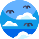 cloud,weather,nature,bird,clouds,sky,cloudy