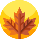 nature,plant,botanical,leaf,garden,maple leaf,autumn,fall