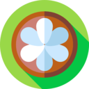 food,vegan,healthy food,food and restaurant,organic,diet,vegetarian,fruit,mangosteen ok 