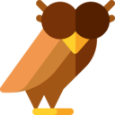 animals,bird,owl,hunter,ornithology ok 