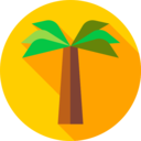 travel,nature,trees,coconut,tree,island,coconut tree,islands ok 