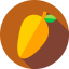 Favicon