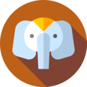 animals,mammal,wild life,animal kingdom,zoo,head,animal,africa,elephant ok 