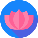 thailand,cultures,yoga,meditation,wellness,nature,oriental,botanical,lotus,chakra,hinduism,garden,flower,blossom,lotus flower,buddha