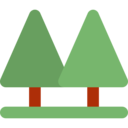nature,trees,botanical,garden,yard,forest,pine ok 