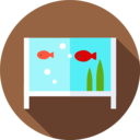 animals,pet,pet shop,bowl,fish,aquarium,animal,fishing,fish bowl,fish tank,goldfish