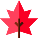 nature,plant,botanical,leaf,garden,maple leaf,autumn,fall