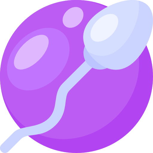 Spermatozoon