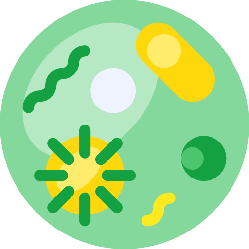 Bacteria