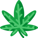 cultures,healthcare and medical,nature,unhealthy,botanical,leaf,drug,Weed,Cannabis,Marijuana