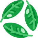 nature,plant,botanical,leaf,leaves,garden