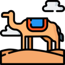 animals,nature,wild life,animal kingdom,zoo,animal,desert,camel