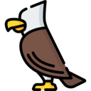 cultures,animals,animal,eagle,god,egyptian,mythology,pagan,horus