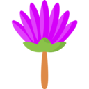 egypt,nature,oriental,botanical,lotus,flower,blossom,lotus flower
