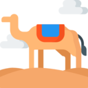 animals,nature,wild life,animal kingdom,zoo,animal,desert,camel
