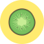 Summer Fruits icon 64x64