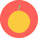 food,vegan,healthy food,food and restaurant,organic,diet,vegetarian,fruit,orange