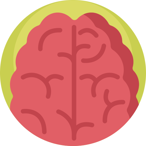 Brain