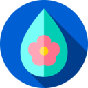 drop,water,nature,flower,water drop