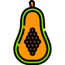 food,vegan,healthy food,food and restaurant,organic,diet,vegetarian,fruit,exotic,papaya