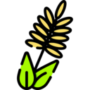 food,food and restaurant,nature,branch,cereal,cereals,wheat,grain,seeds,wheat plant,wheat grain,grains