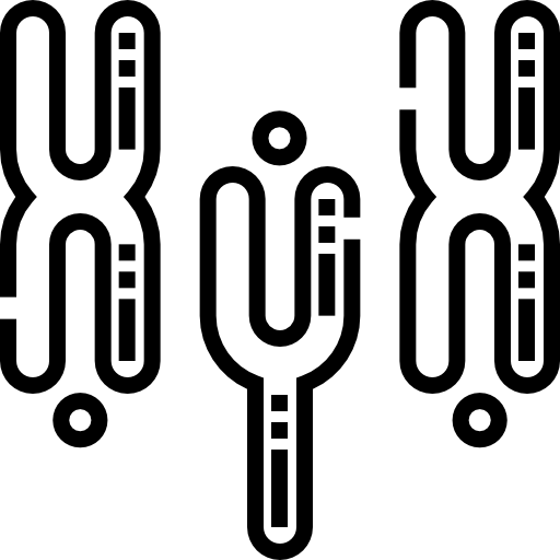Chromosome