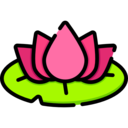 cultures,nature,beauty,botanical,farming and gardening,lotus,garden,flower,blossom