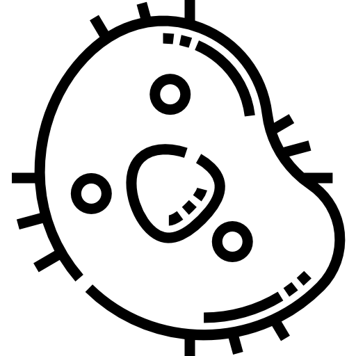 Cell