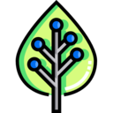 education,science,nature,plant,info,diagram,leaf,ecological,details,information ecology