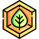 education,science,nature,plant,botanical,leaf,leaves,garden
