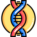medical,healthcare and medical,education,science,biology,genetical,dna structure,deoxyribonucleic acid,dna ok 