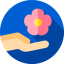 wellness,healthcare and medical,medicine,health care,nature,hand,pharmacy,hands and gestures,flower,alternative,alternative medicine