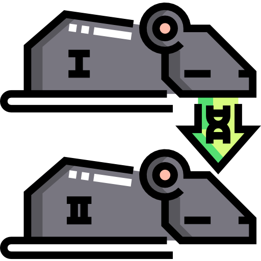 Cloning