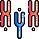 medical,healthcare and medical,education,science,biology,scientific,chromosome,sciences,chromosomes,biological