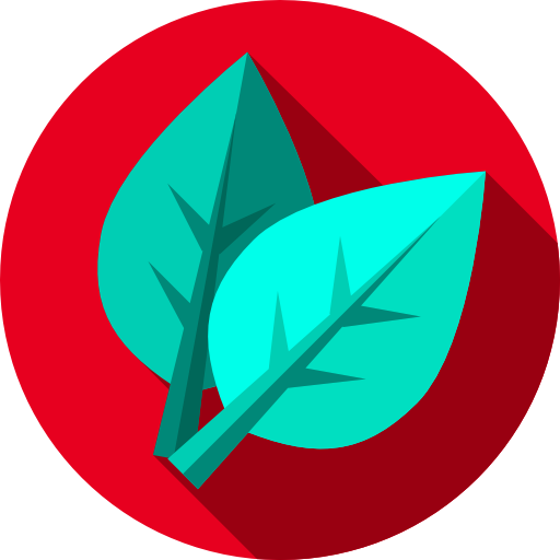 Herbs