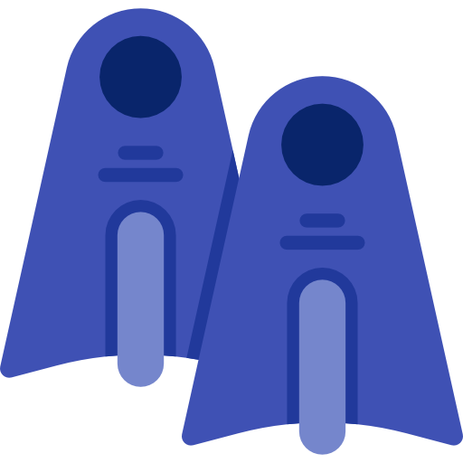 Fin