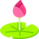 nature,botanical,lotus,garden,flower,blossom,botanic