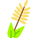 food,food and restaurant,nature,branch,cereal,cereals,wheat,grain,seeds,wheat plant,wheat grain,grains