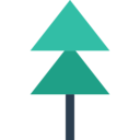 nature,botanical,tree,garden,yard,forest,pine