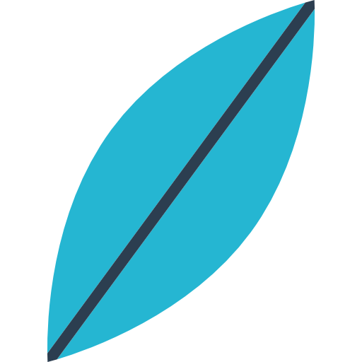 Surfboard