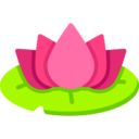 cultures,nature,beauty,botanical,farming and gardening,lotus,garden,flower,blossom