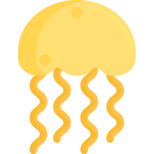 Jellyfish