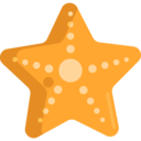 animals,aquarium,sea life,animal,aquatic,holidays,ocean,starfish