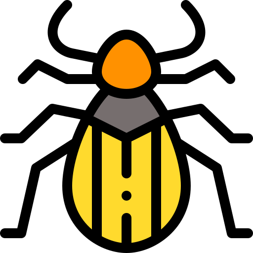 Beetle